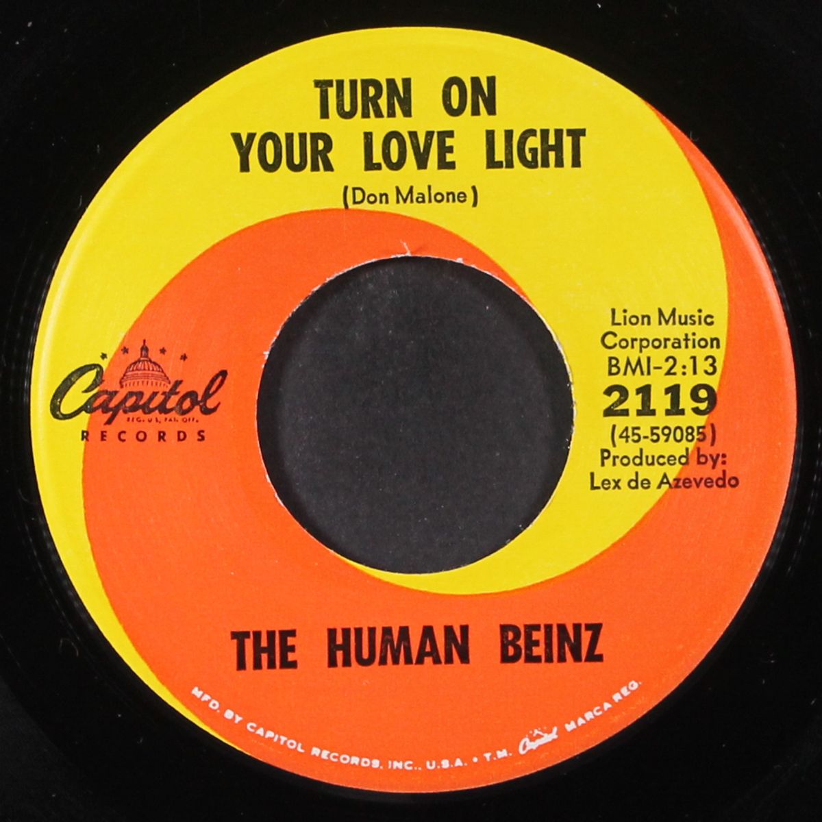 turn on your love light / fun to be clean by HUMAN BEINZ