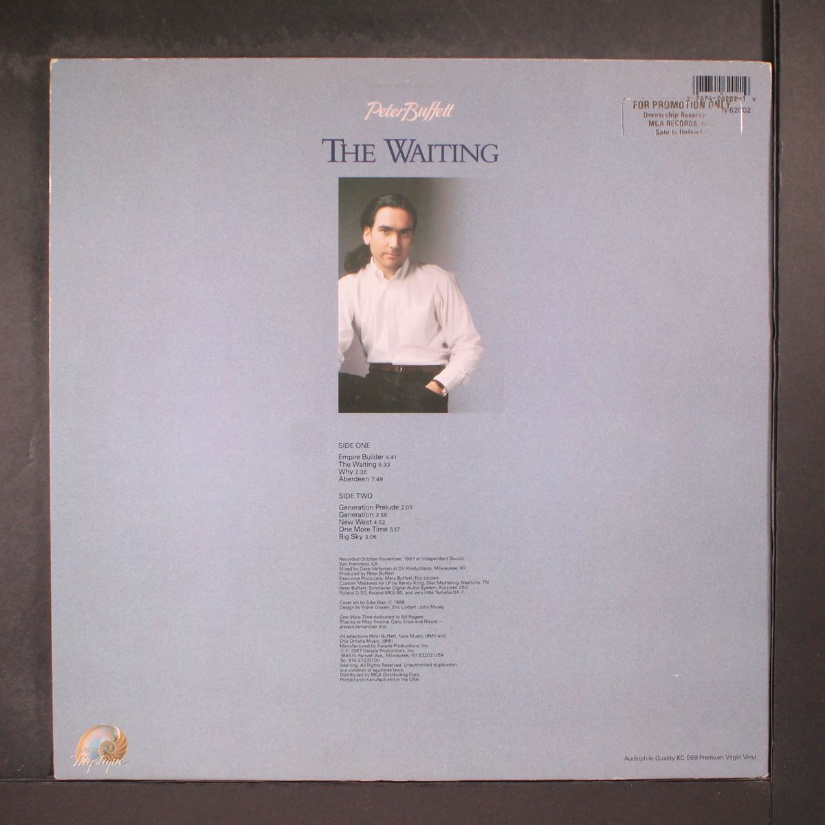 the waiting by PETER BUFFETT
