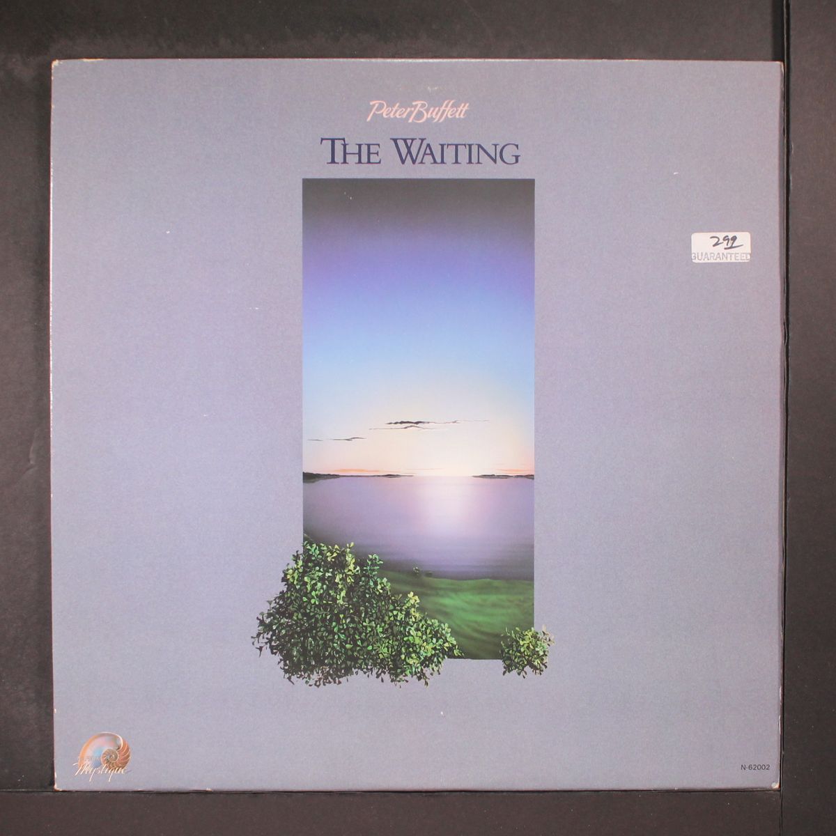 the waiting by PETER BUFFETT