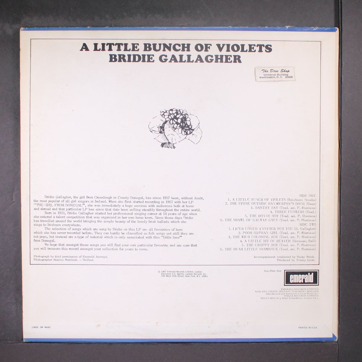 a little bunch of violets by BRIDIE GALLAGHER