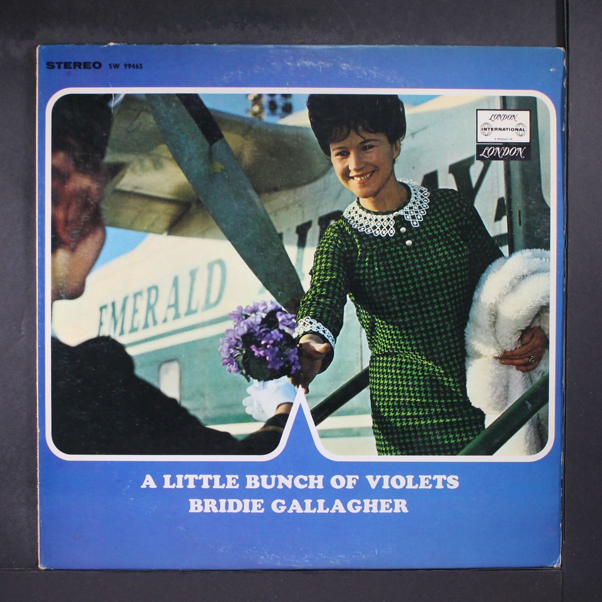 a little bunch of violets by BRIDIE GALLAGHER