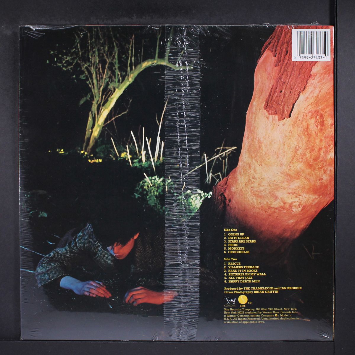 crocodiles by ECHO & THE BUNNYMEN