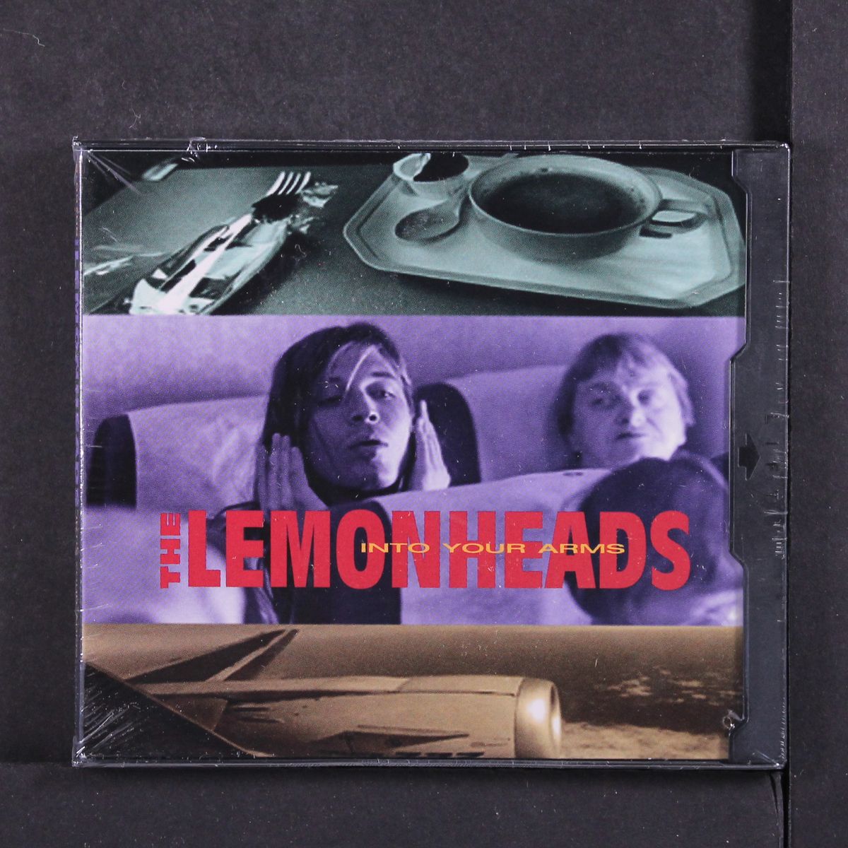 into your arms by LEMONHEADS