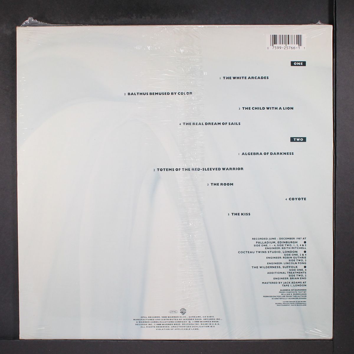 the white arcades by HAROLD BUDD