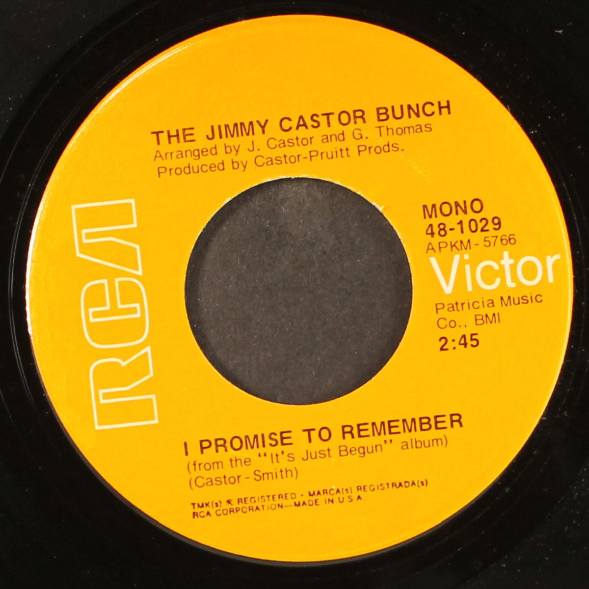 troglodyte (cave man) / i promise to remember by JIMMY CASTOR BUNCH