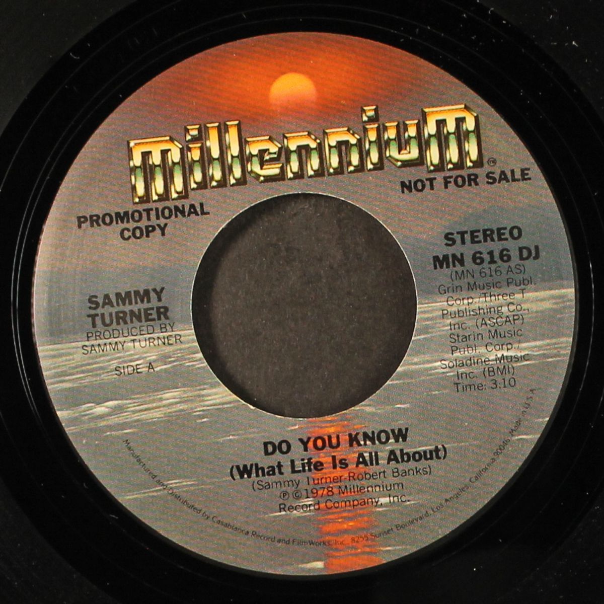do you know / mono by SAMMY TURNER