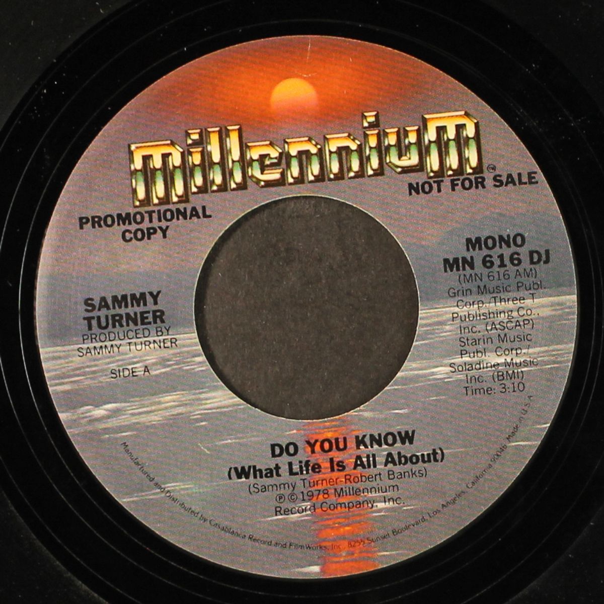 do you know / mono by SAMMY TURNER