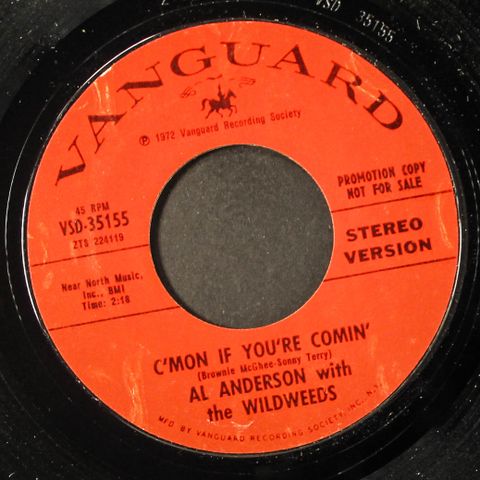 AL ANDERSON & WILDWEEDS