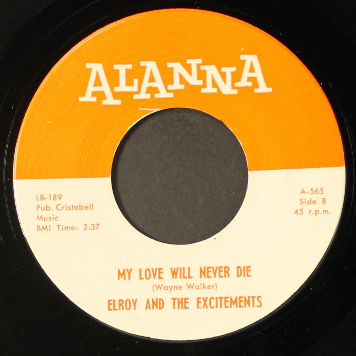 no one knows / my love will never die by ELROY & EXCITEMENTS