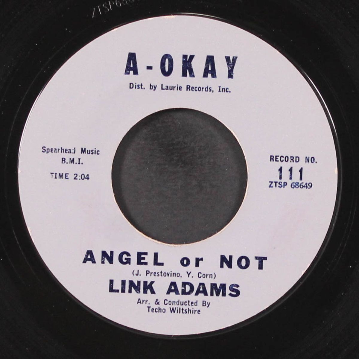angel or not / lonely teen by LINK ADAMS