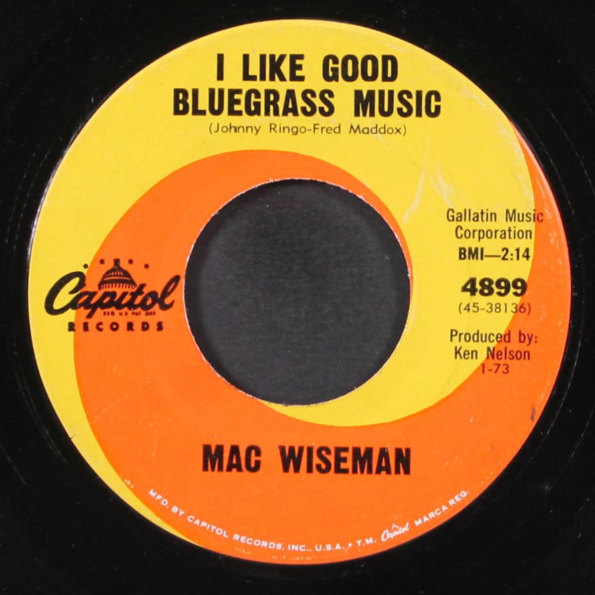 wildfire / i like good bluegrass music by MAC WISEMAN