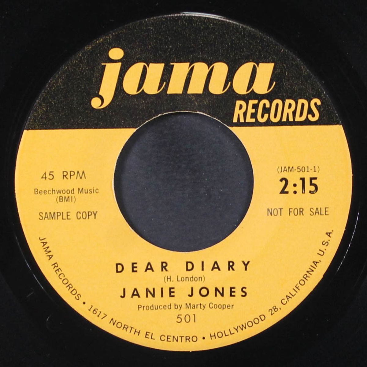 dear diary by JANIE JONES
