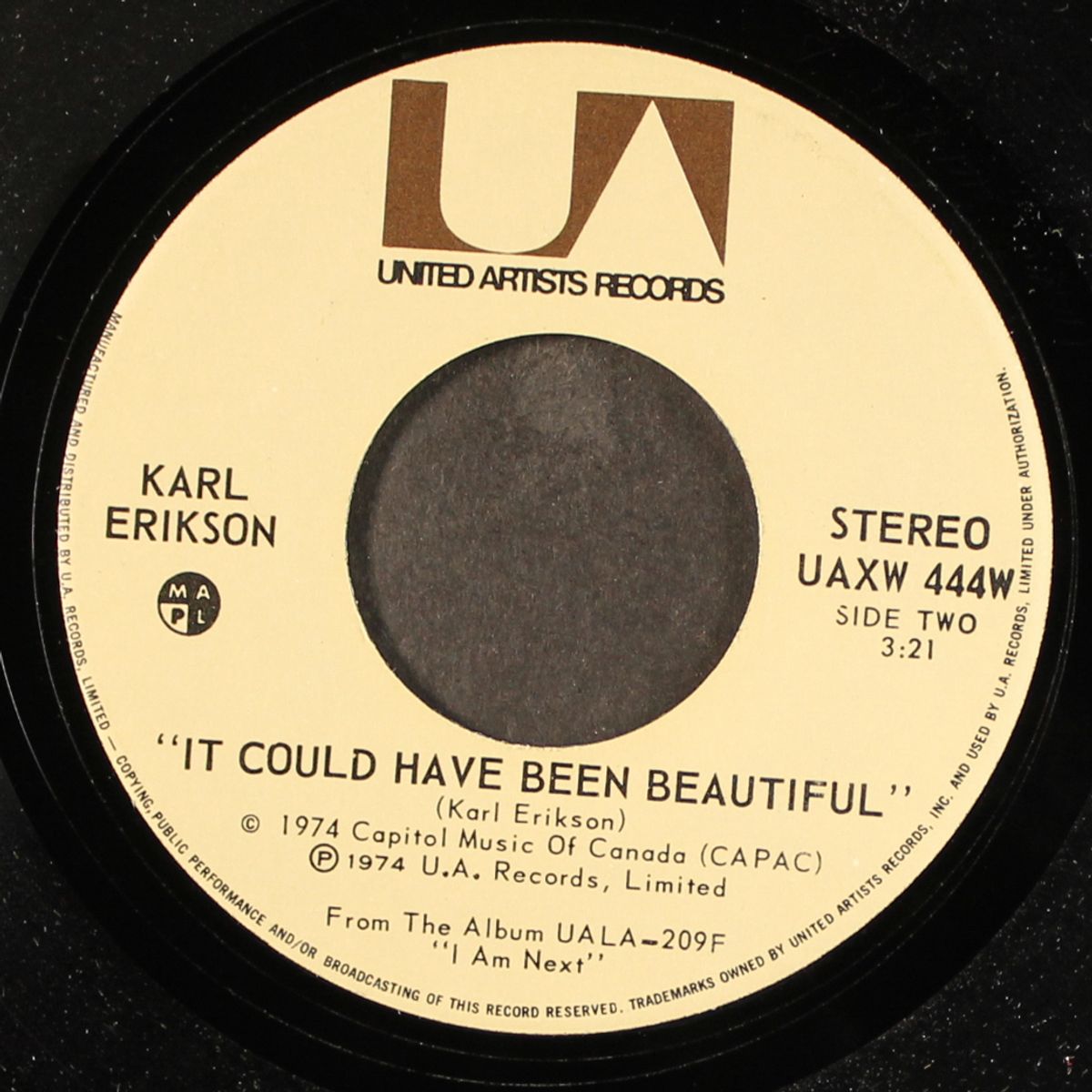 waiting for the rain / it could have been beautiful by KARL ERIKSON