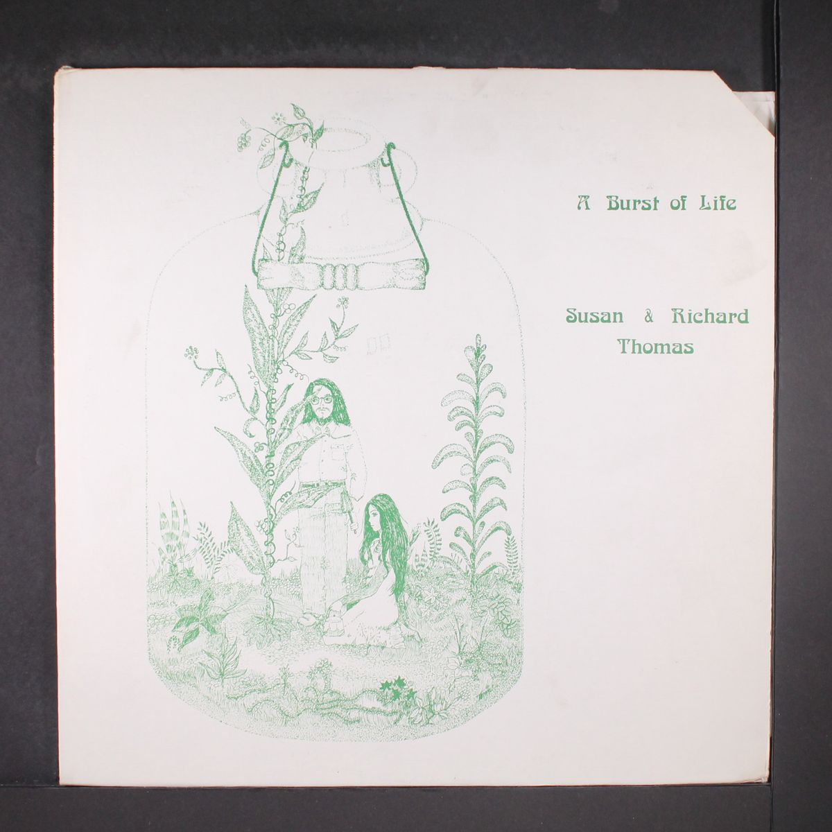a burst of life by SUSAN & RICHARD THOMAS