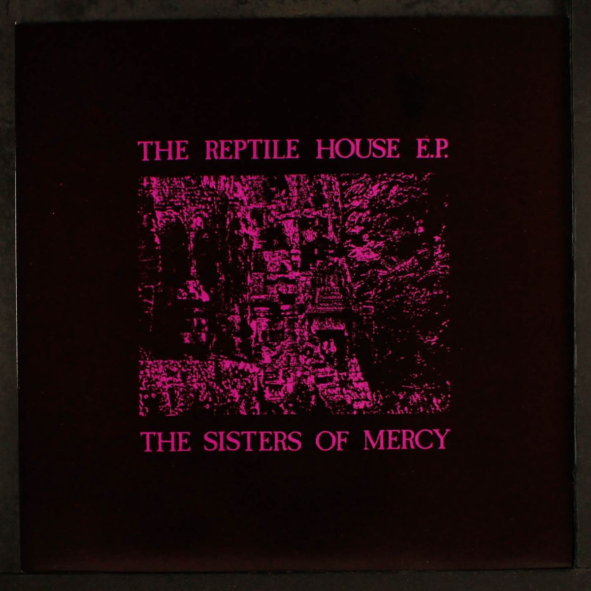 reptile house by SISTERS OF MERCY