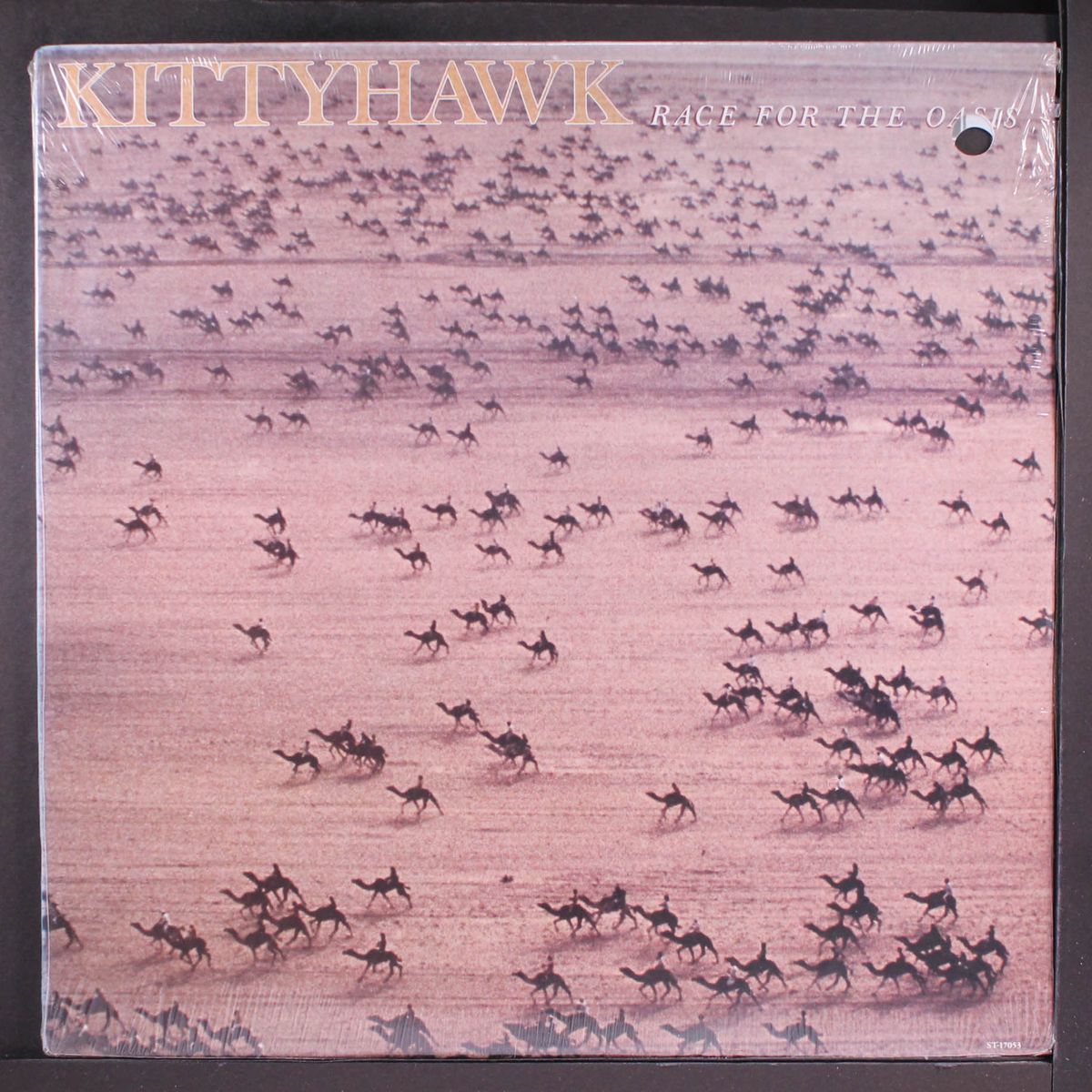 race for the oasis by KITTYHAWK
