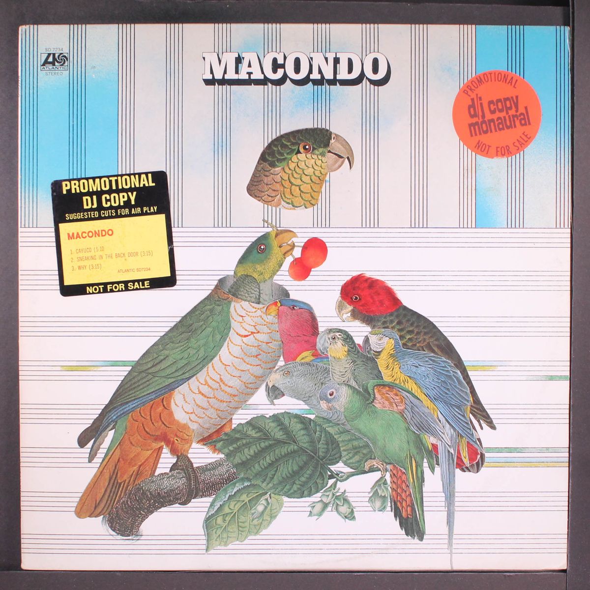 macondo by MACONDO