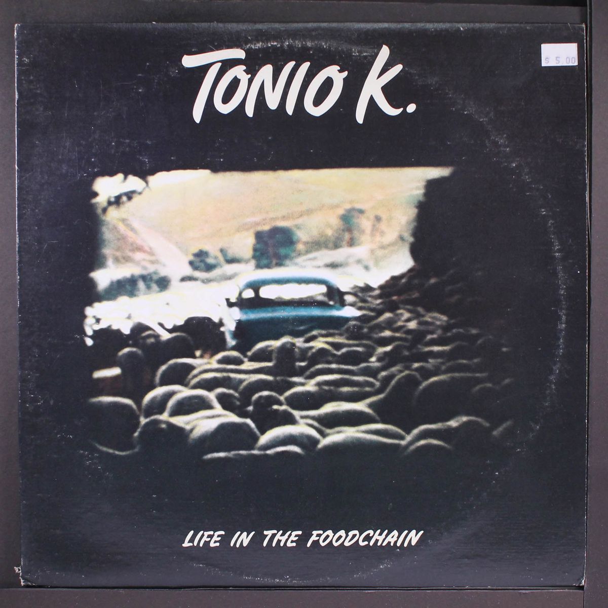 life in the foodchain by TONIO K.