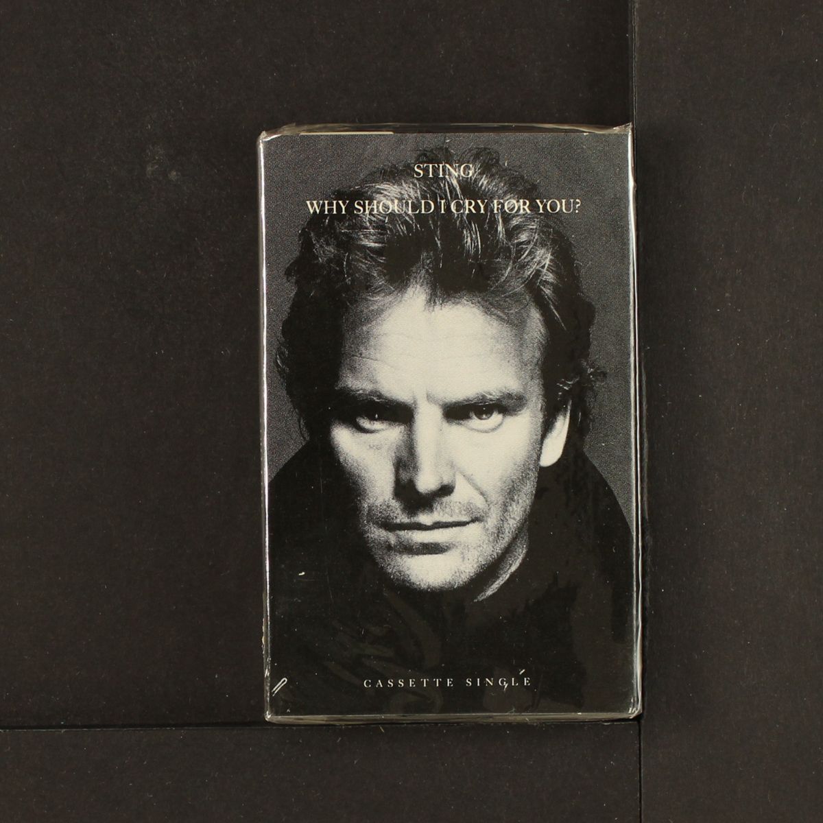 why should i cry for you? by STING