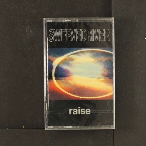 SWERVEDRIVER