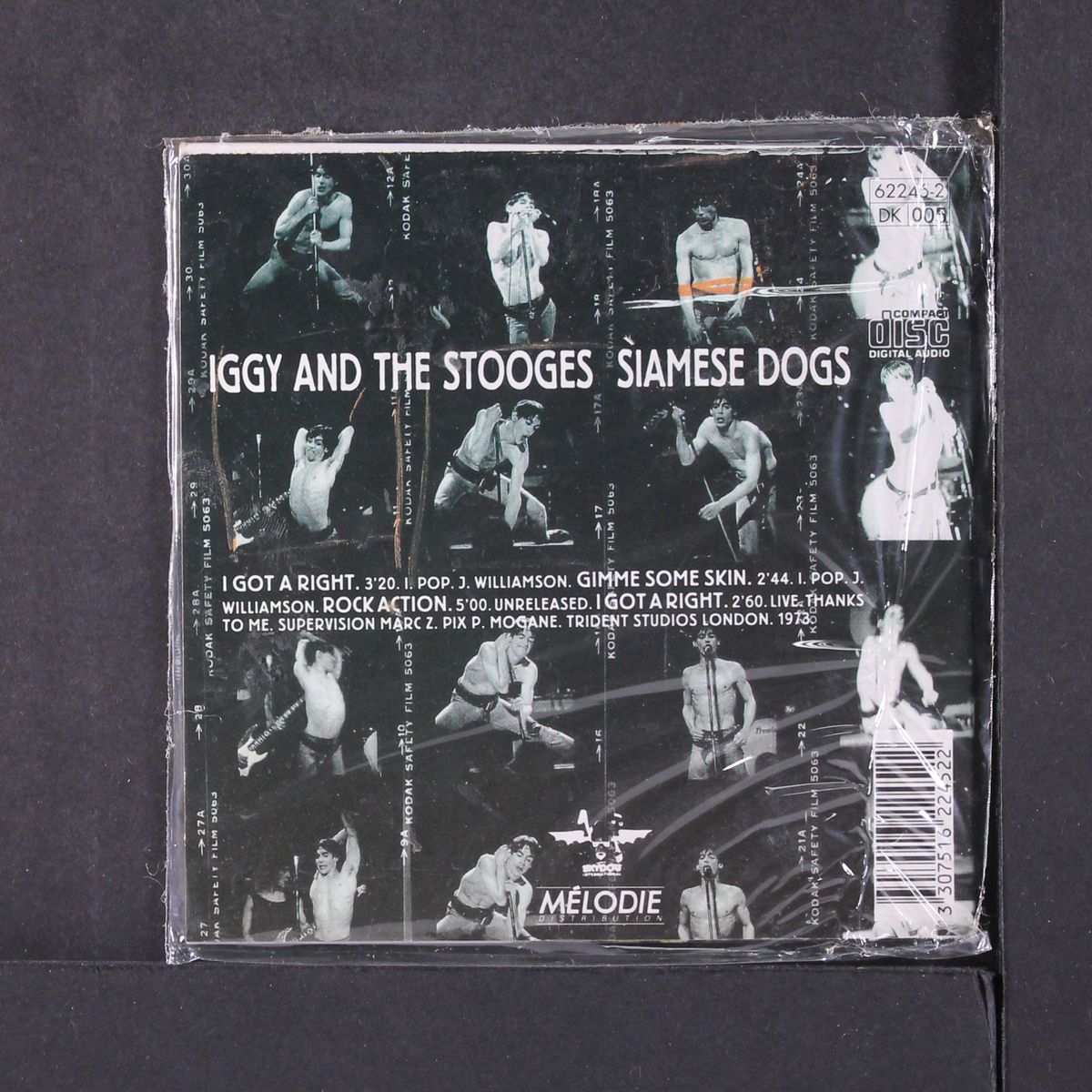 siamese dogs by IGGY & THE STOOGES