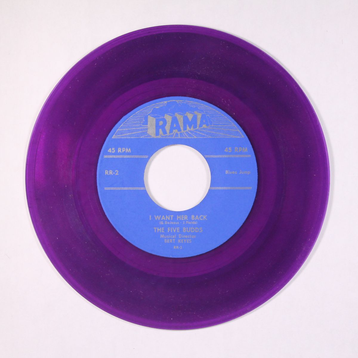 i want her back / i guess it's all over now by FIVE BUDDS