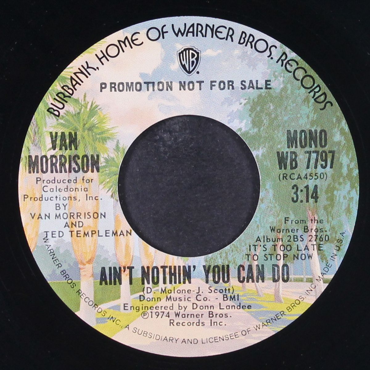 ain't nothin' you can do / mono by VAN MORRISON