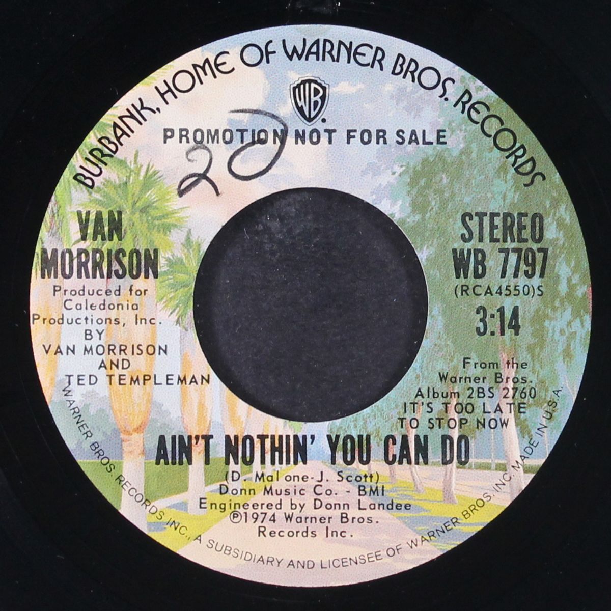 ain't nothin' you can do / mono by VAN MORRISON