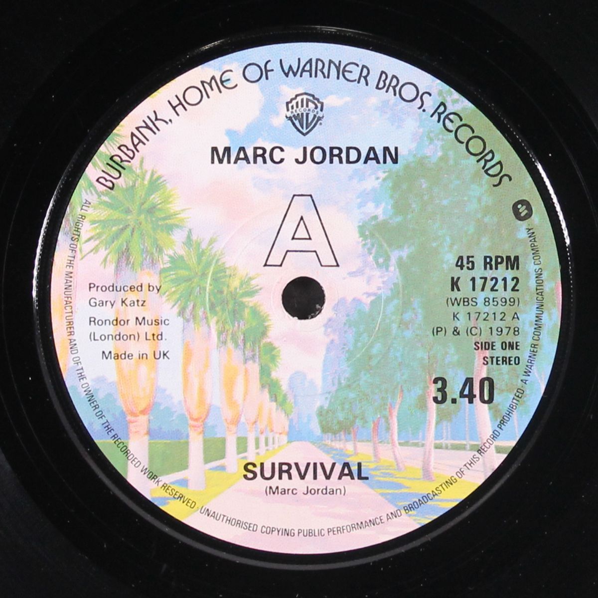 survival by MARC JORDAN
