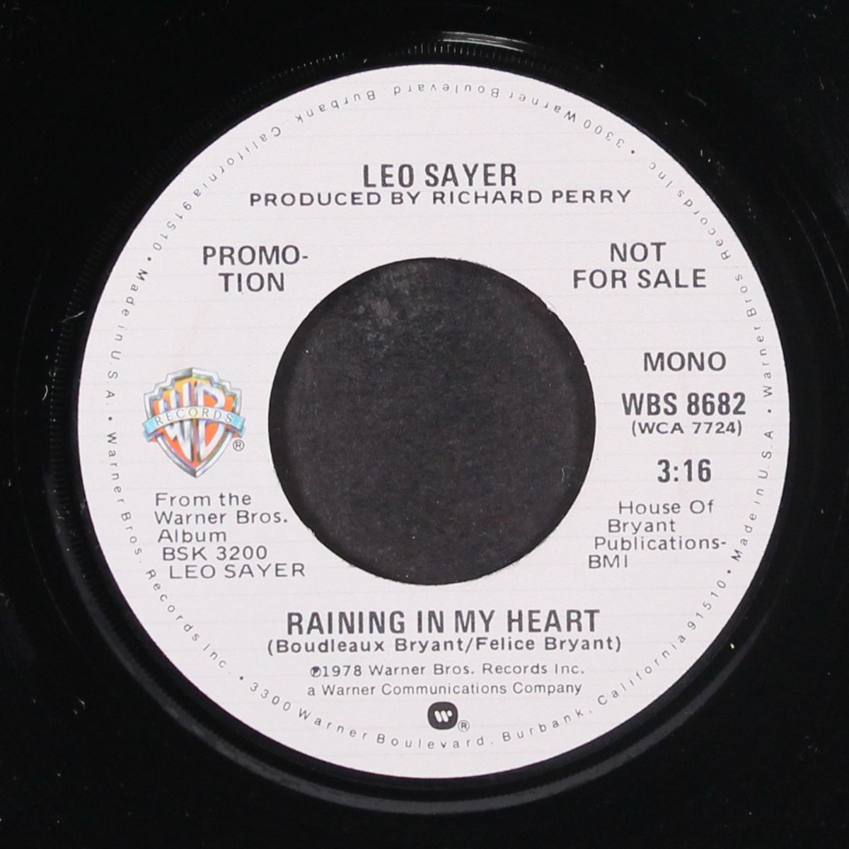 raining in my heart / mono by LEO SAYER