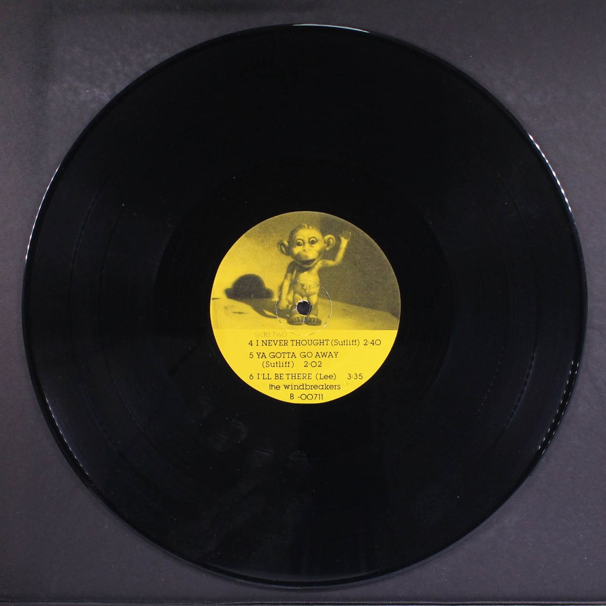 any monkey with a typewriter by WINDBREAKERS