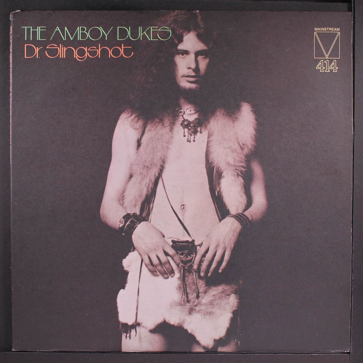 dr. slingshot by AMBOY DUKES