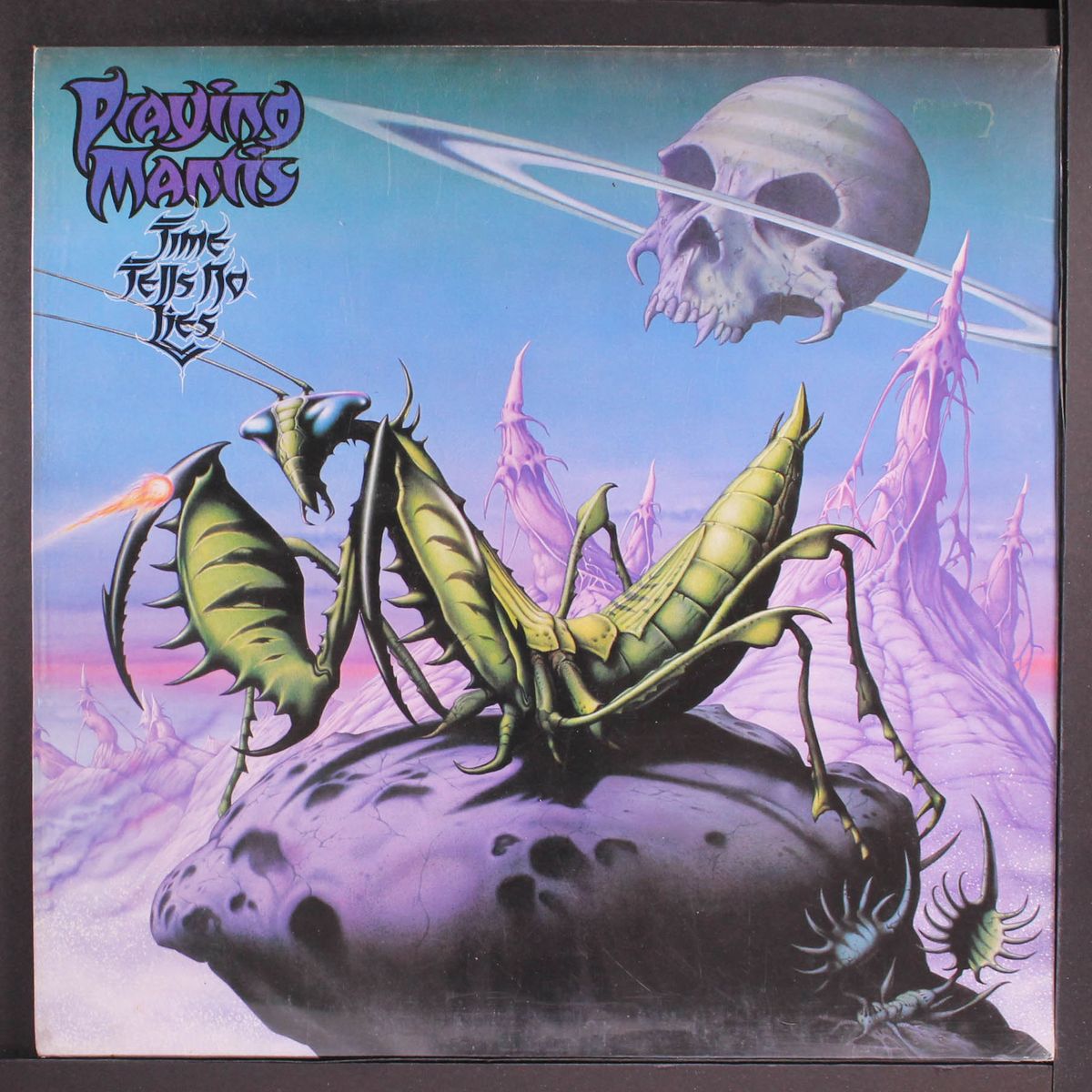 time tells no lies by PRAYING MANTIS