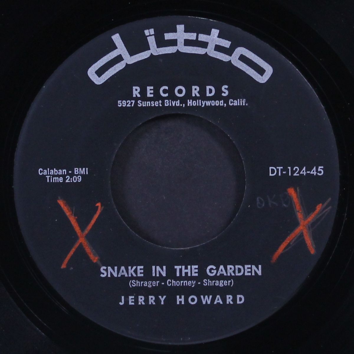 snake in the garden by JERRY HOWARD