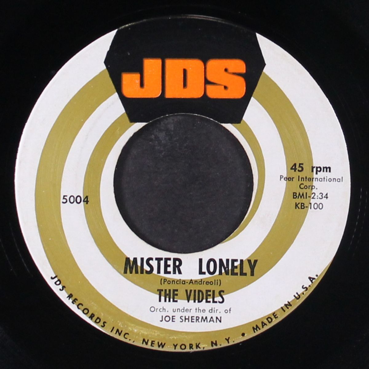 mister lonely / i'll forget you by VIDELS