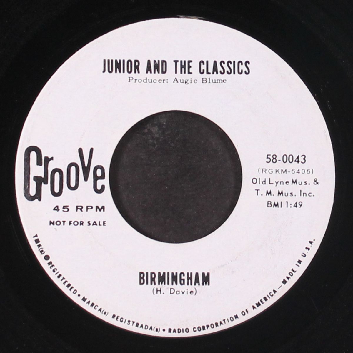 the dog / birmingham by JUNIOR & CLASSICS