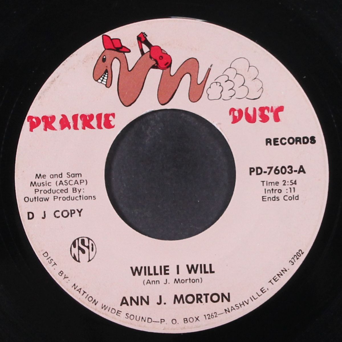 willie i will by ANN J. MORTON