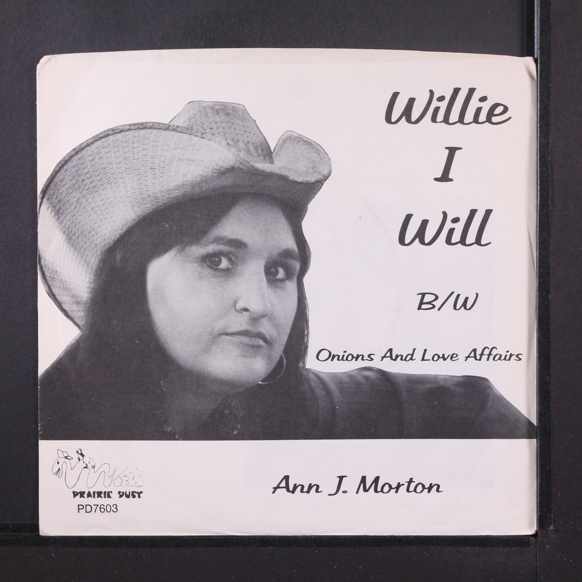 willie i will by ANN J. MORTON