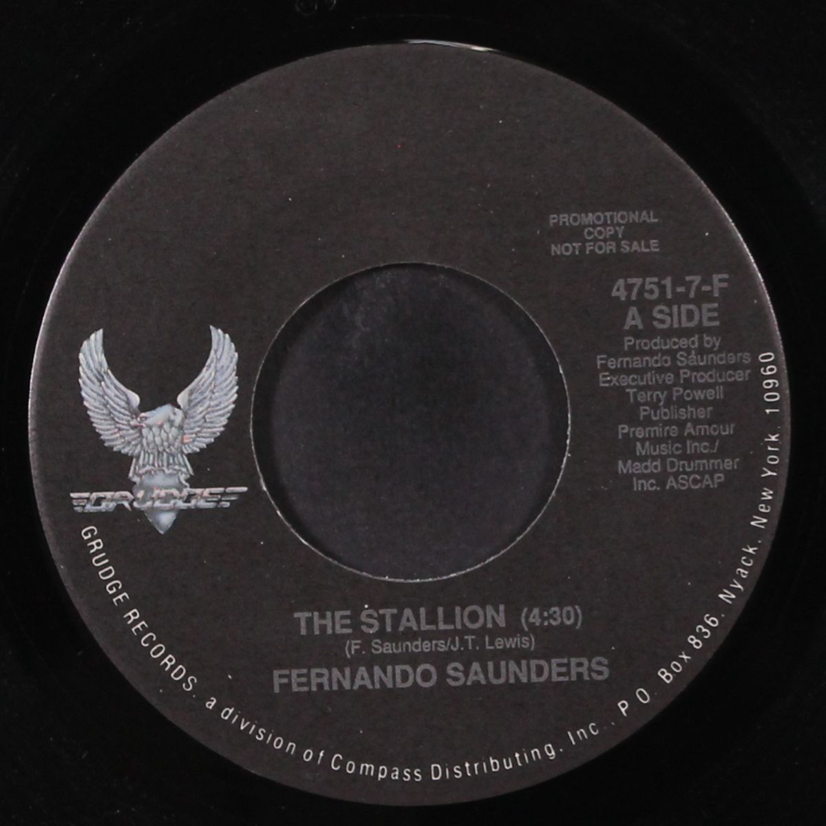 the stallion / same by FERNANDO SAUNDERS