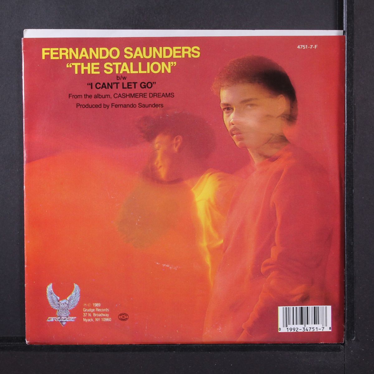 the stallion / same by FERNANDO SAUNDERS