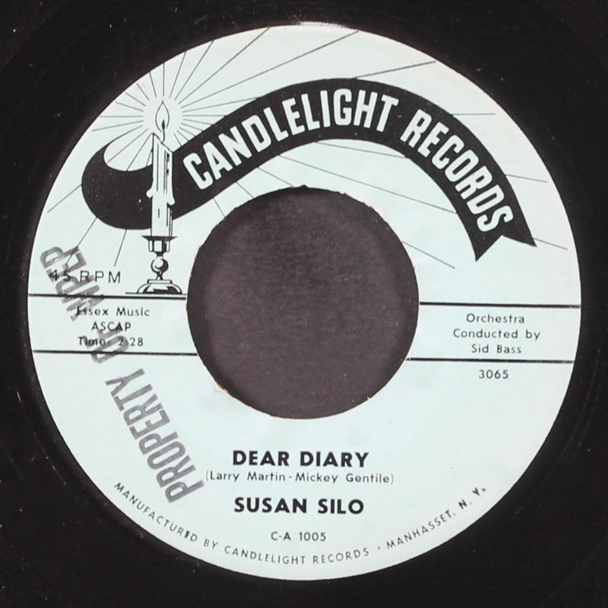 dear diary / don't ever cheat by SUSAN SILO
