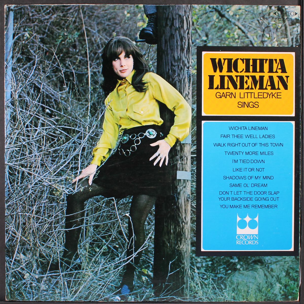 wichita lineman by GARN LITTLEDYKE