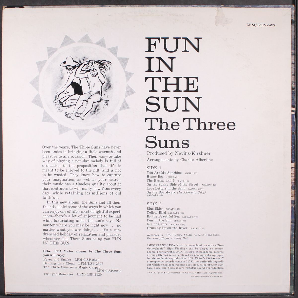 fun in the sun by THREE SUNS