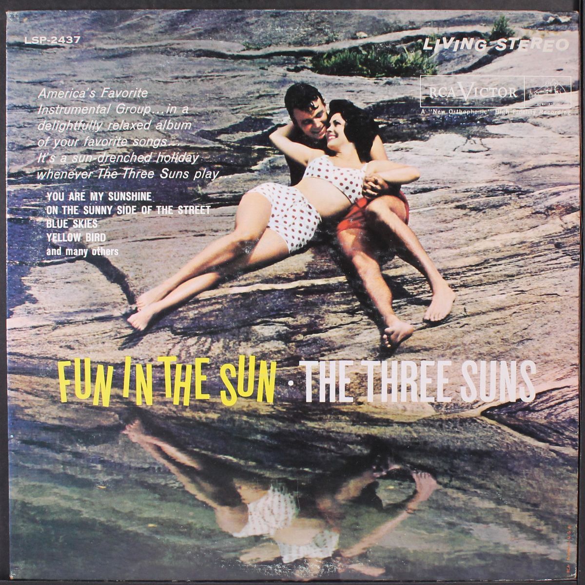 fun in the sun by THREE SUNS
