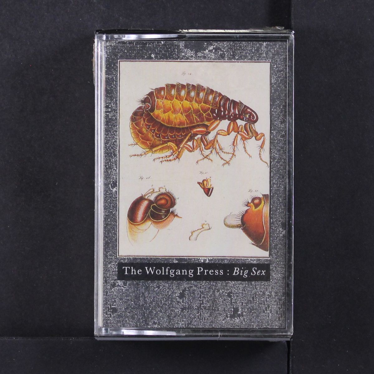 big sex by WOLFGANG PRESS