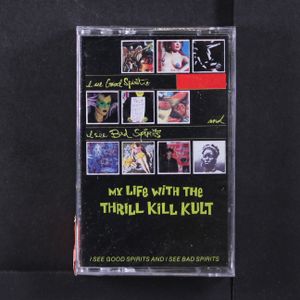 MY LIFE WITH THE THRILL KILL KULT
