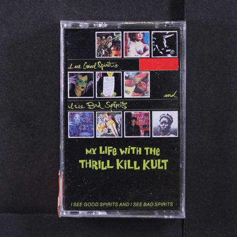 MY LIFE WITH THE THRILL KILL KULT