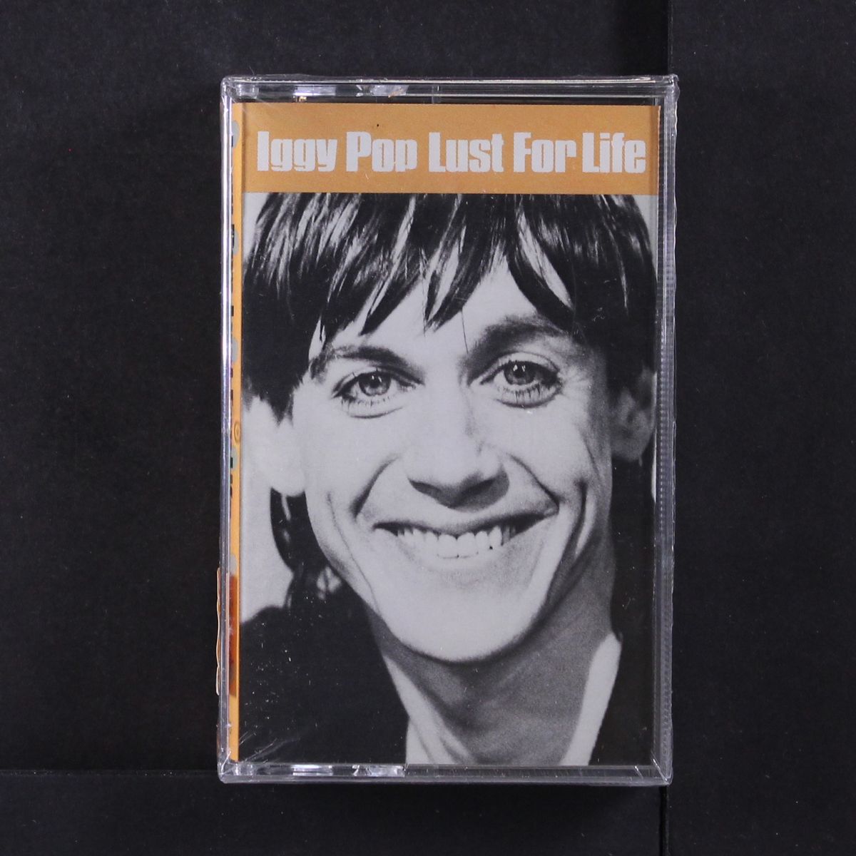 lust for life by IGGY POP