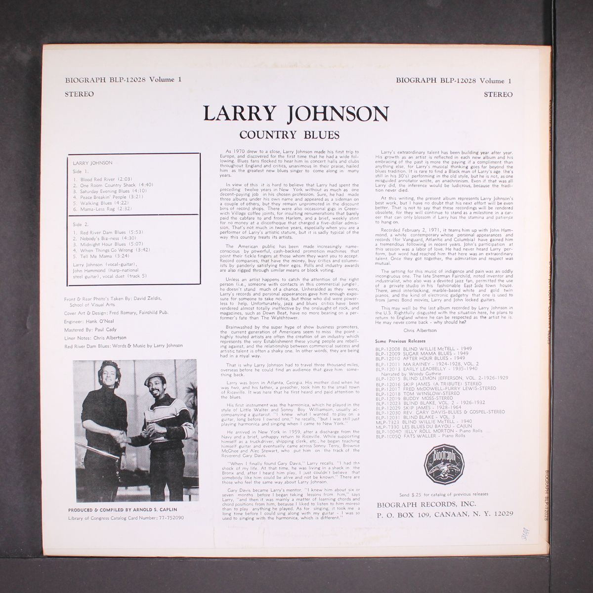 country blues by LARRY JOHNSON
