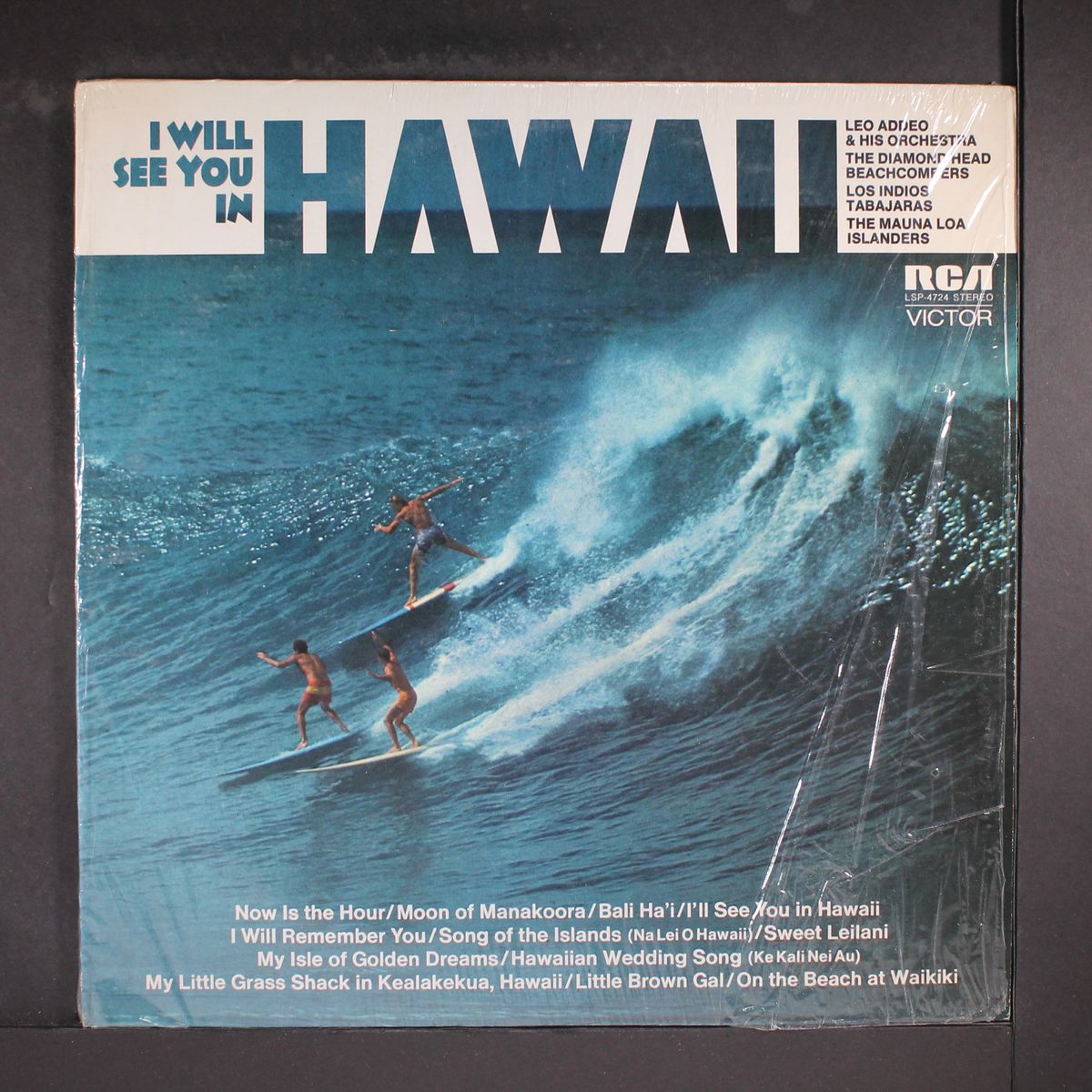 i will see you in hawaii by VARIOUS